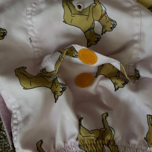 AMBSN Light Pink Bulldog Print Drawstring Shorts Size Small - Picture 7 of 9